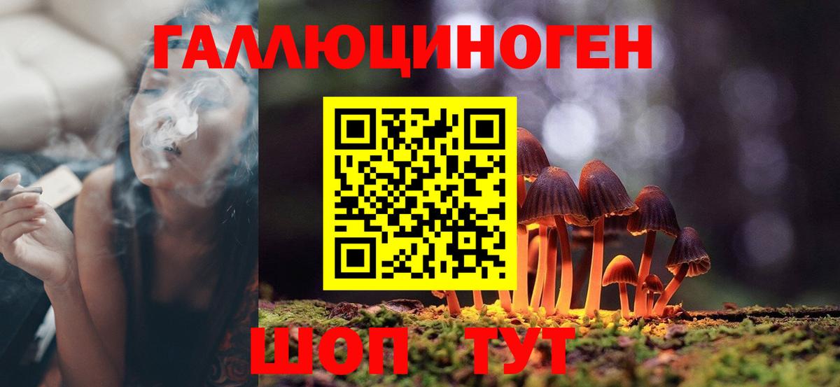 Видное  Галлюциногенные грибы мицелий  закладки  Вход с VPN 