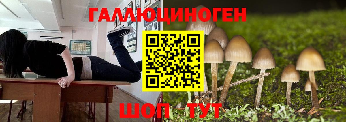 Галлюциногенные грибы MAGIC MUSHROOMS Видное